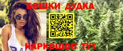 сатива Кимры