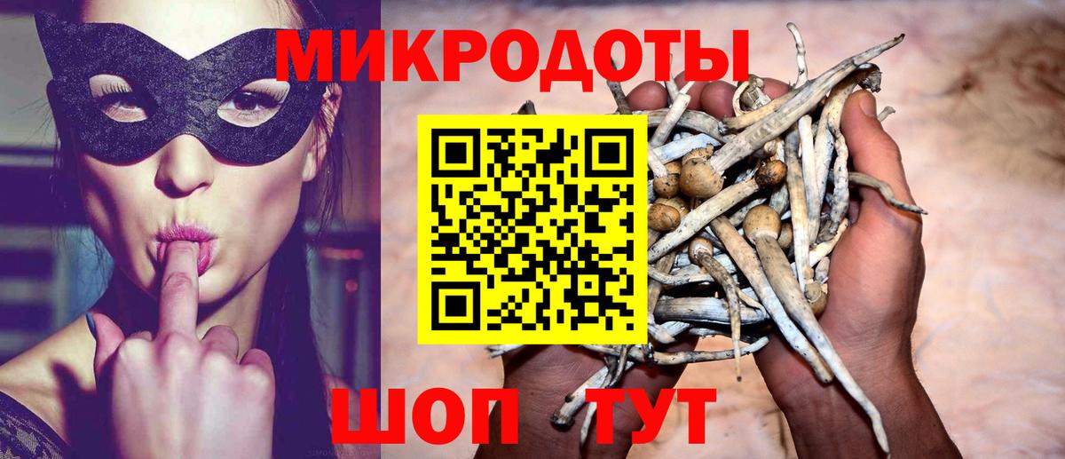 Галлюциногенные грибы прущие грибы Одинцово